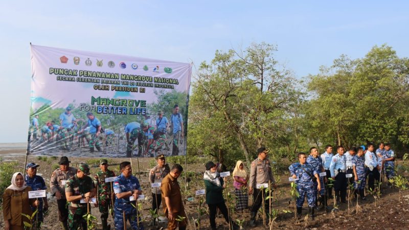 TNI Bersama Polresta Deli Serdang dan Pemkab Laksanakan Penanaman Bibit Mangrove Serentak