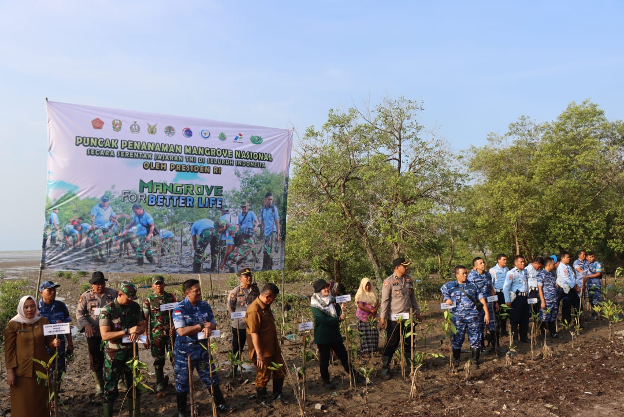 TNI Bersama Polresta Deli Serdang dan Pemkab Laksanakan Penanaman Bibit Mangrove Serentak