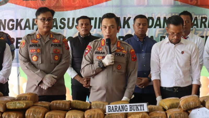 Sat Res Narkoba Polresta Deli Serdang Ringkus Pengedar Ganja 173 Kg