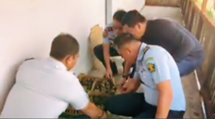 Rutan Kelas l Medan Tabur Bibit Bebek di Areal Pelatihan Keterampilan Peternakan 