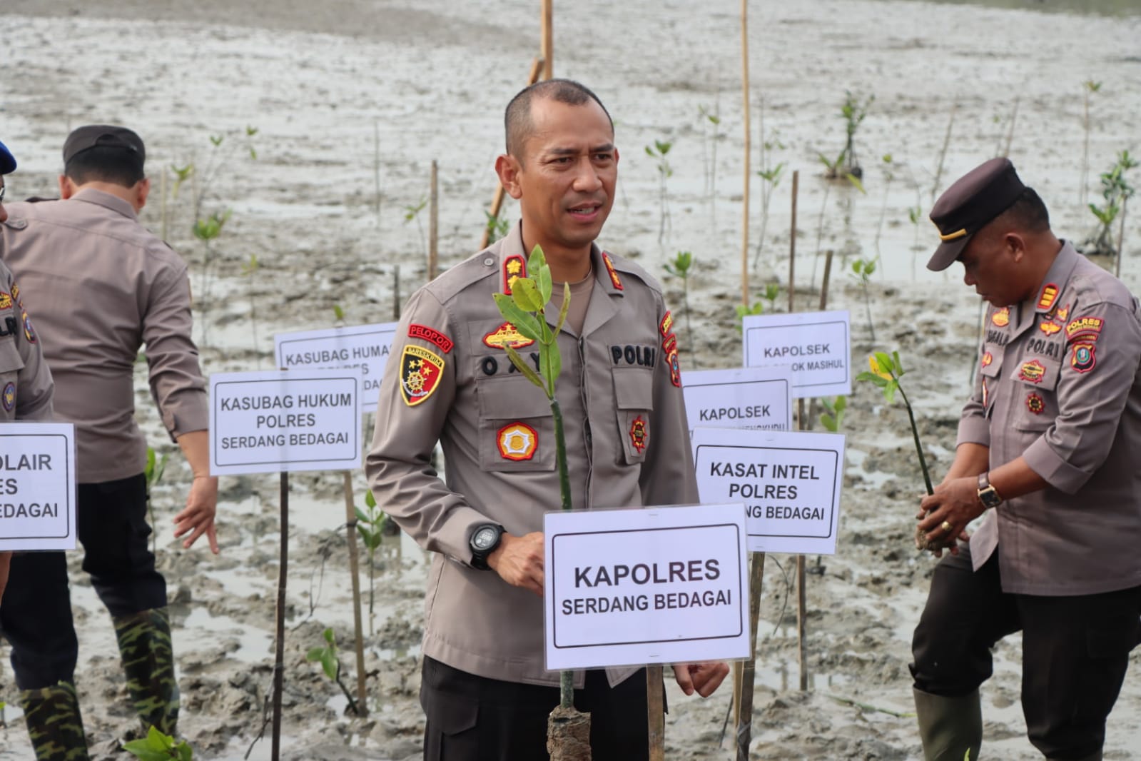 Kapolres Sergai Ikut Penanaman Hutan Mangrove Dalam Rangka HUT Bhayangkara ke 77