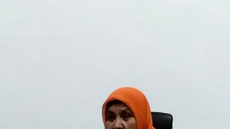 Rosda Ketua Srikandi PP Sumut Membenarkan Penganiayaan Terhadap Adel  