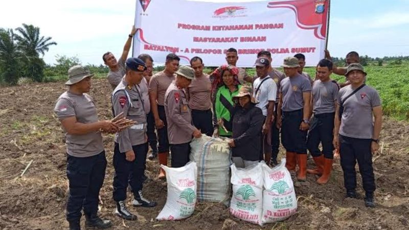 Polda Sumut Siapkan 548,37 Hektar Lahan untuk Penanaman Jagung Serentak