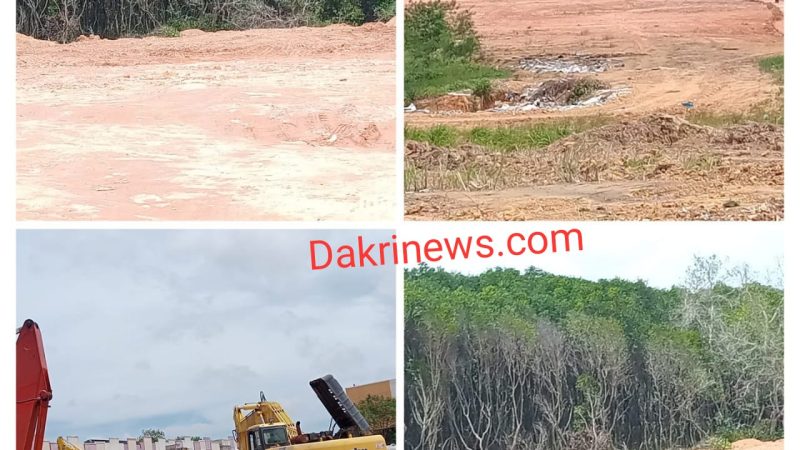 Proyek Cut and Fill Ilegal di Botania Satu: Mangrove Dirusak, Pemkot Batam, BP Batam, dan DLH Diduga Tutup Mata!