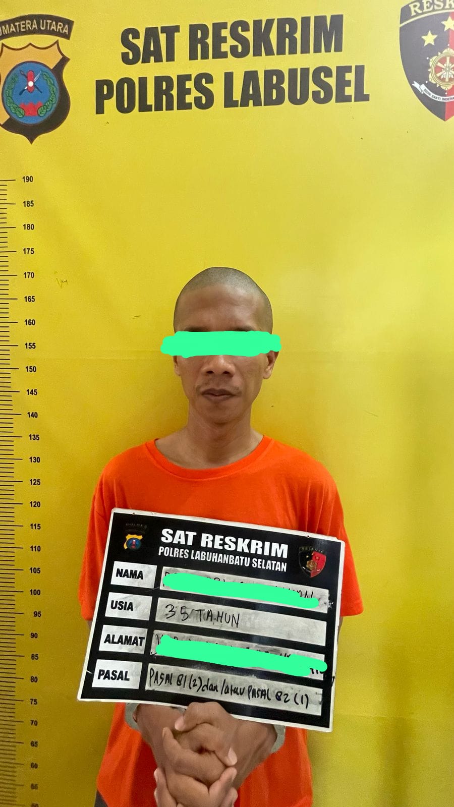 Polres Labusel Ungkap Kasus Pria Beristri Cabuli Tiga Gadis di Bawah Umur, Satu Korban Hamil 