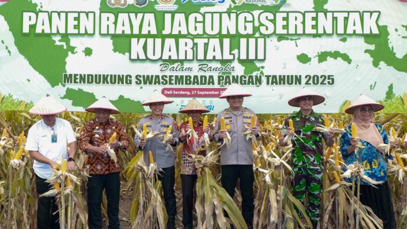 Panen Raya Jagung Kuartal III: Polda Sumut Komitmen Wujudkan Swasembada Pangan