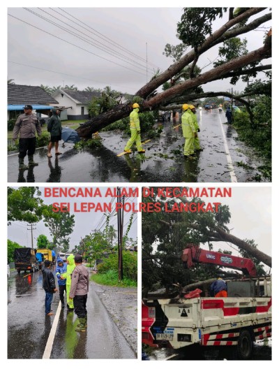 Update Terbaru Bencana Alam di Langkat: Polisi Bergerak Cepat Lakukan Evakuasi, Pengaturan Lalulintas, dan Koordinasi Lintas Instansi
