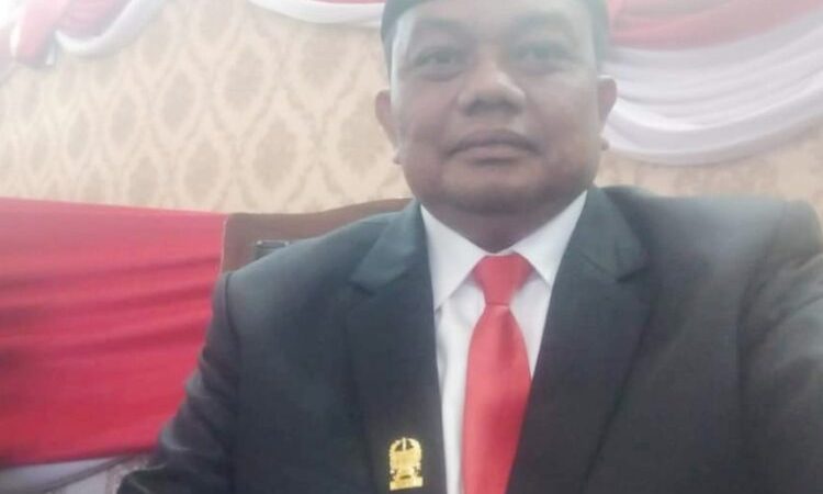 Binsar Sayangkan Lambat Bantu Masyarakat Terdampak Banjir