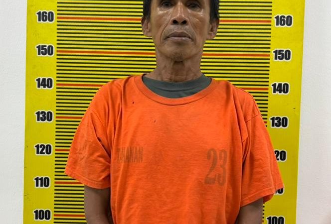 Pengedar Ganja di Medan Area Diciduk Saat Transaksi, Polisi Sita 24 Bungkus Siap Edar