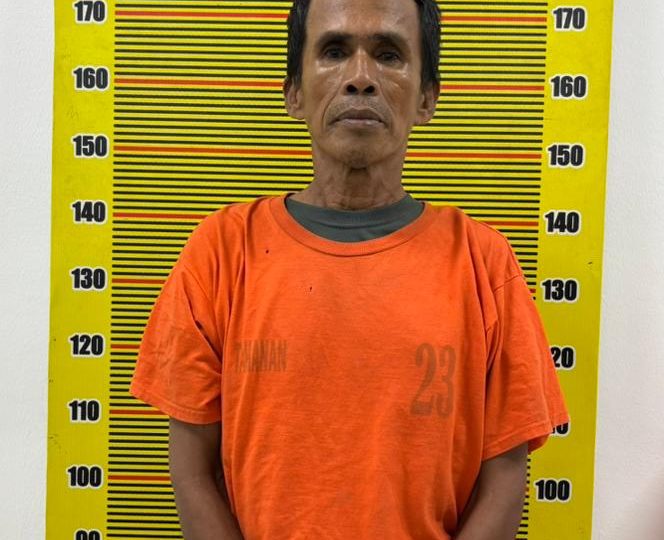 Pengedar Ganja di Medan Area Diciduk Saat Transaksi, Polisi Sita 24 Bungkus Siap Edar