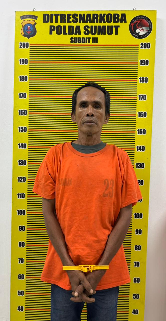 Pengedar Ganja di Medan Area Diciduk Saat Transaksi, Polisi Sita 24 Bungkus Siap Edar
